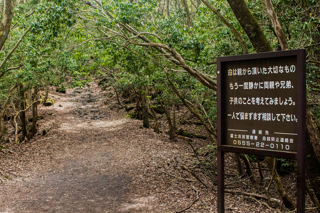 Aokigahara sign